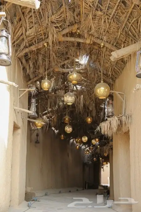 اتصوير مهرجانات معارض فعاليات وغيرها 19