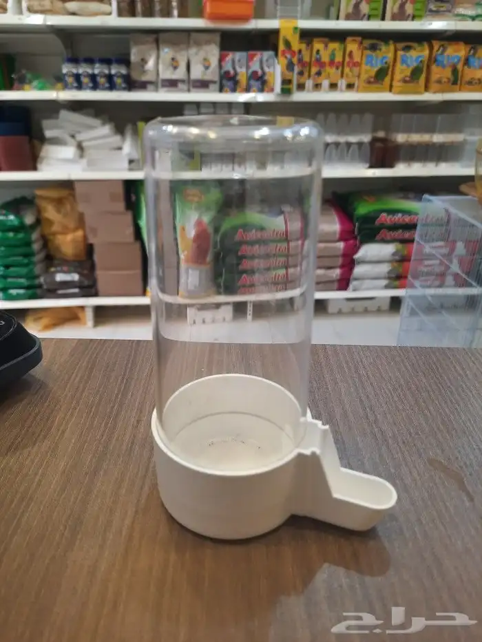 مشربيه طيور بادجي كروان روز كنيور كويكر كناري دره 1
