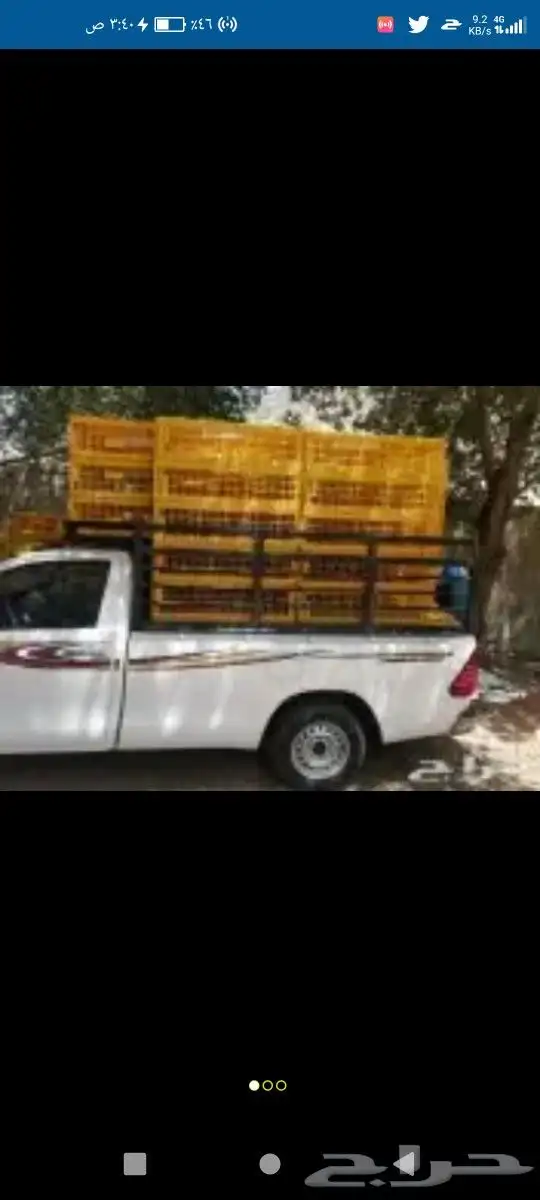 نقل طيور باقفاص صفرا أنحاء المملكه 0