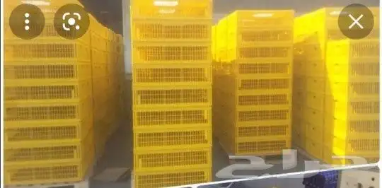 شبك اصفر لنقل دجاج فقص نقل الطيور بيع جمله 1