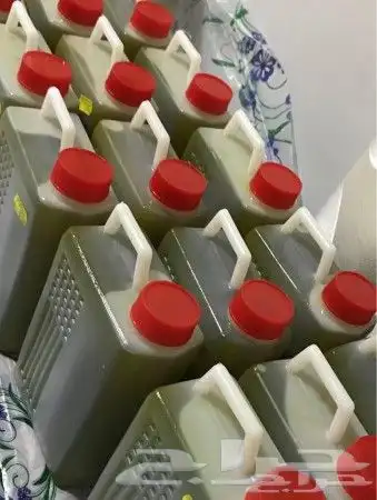 زيت زيتون فلسطيني بكر بعل لكل أرجاء السعودية 54