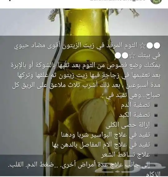 زيت زيتون فلسطيني بكر بعل لكل أرجاء السعودية 11