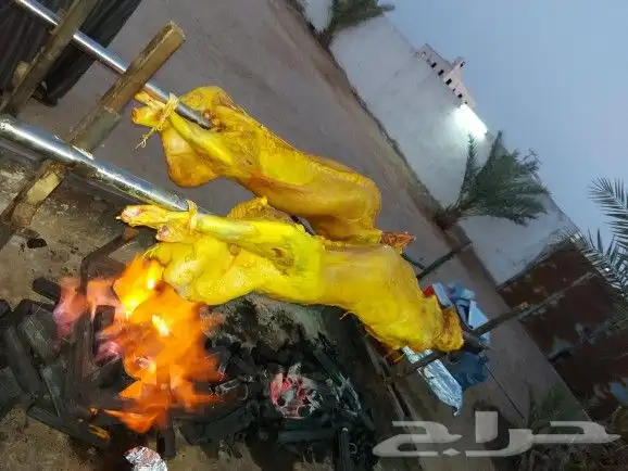 خروف سيخ على الجمر 8