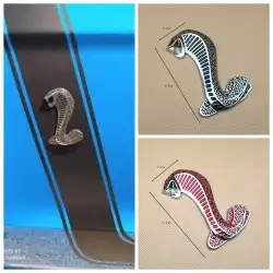 كاربون مسجل موستنج واكسسوارات 24