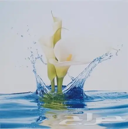 ستائر رول رائعة ثلاثية الأبعاد سعر جملة جديد 21