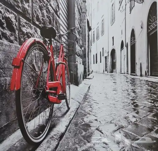 ستائر رول رائعة ثلاثية الأبعاد سعر جملة جديد 31