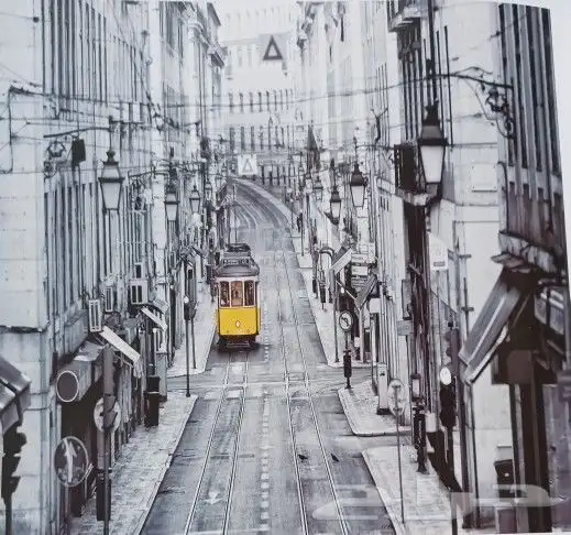 ستائر رول رائعة ثلاثية الأبعاد سعر جملة جديد 0