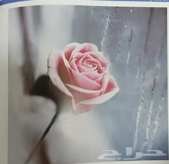 ستائر رول رائعة ثلاثية الأبعاد سعر جملة جديد 2