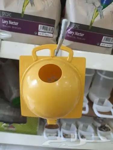 بادجي روز كروان كنيور كويكر حلزون دره كاسكو 2