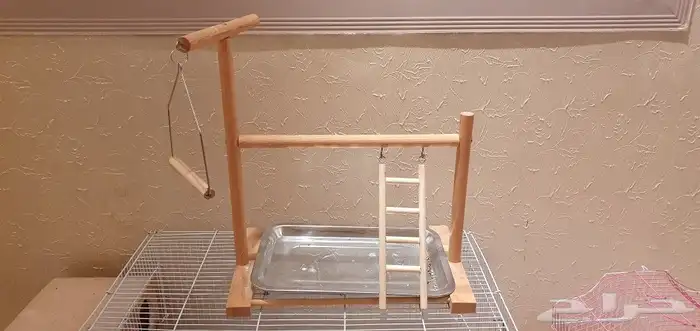 استاند خشبي للطيور ب70 فقط 0