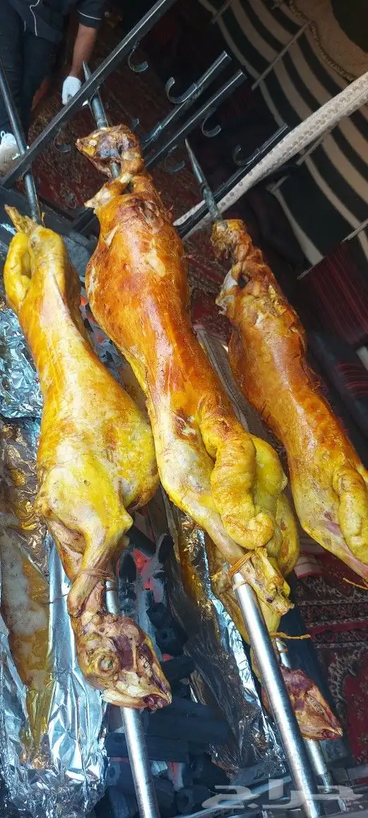 خروف سيخ على الجمر 4