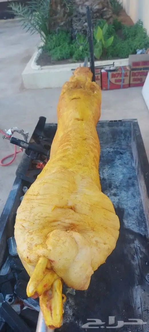 خروف سيخ على الجمر 11