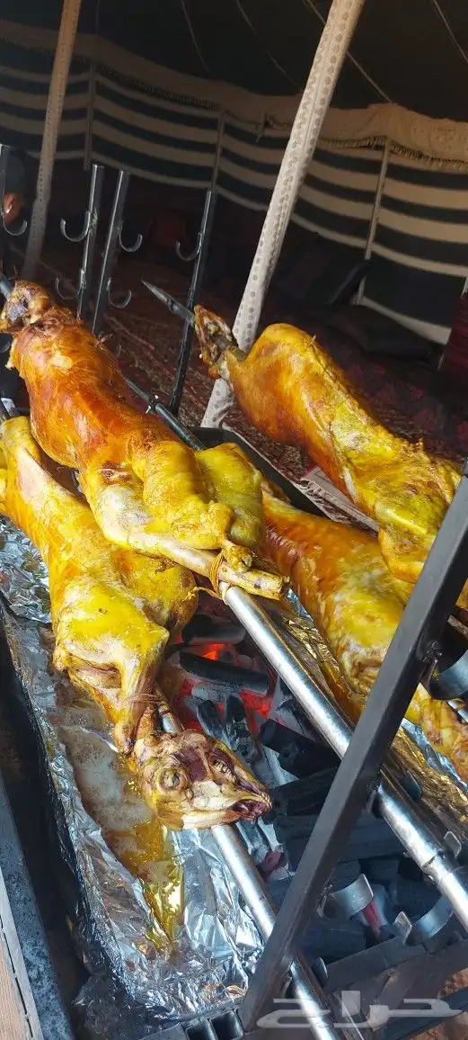 خروف سيخ على الجمر 1