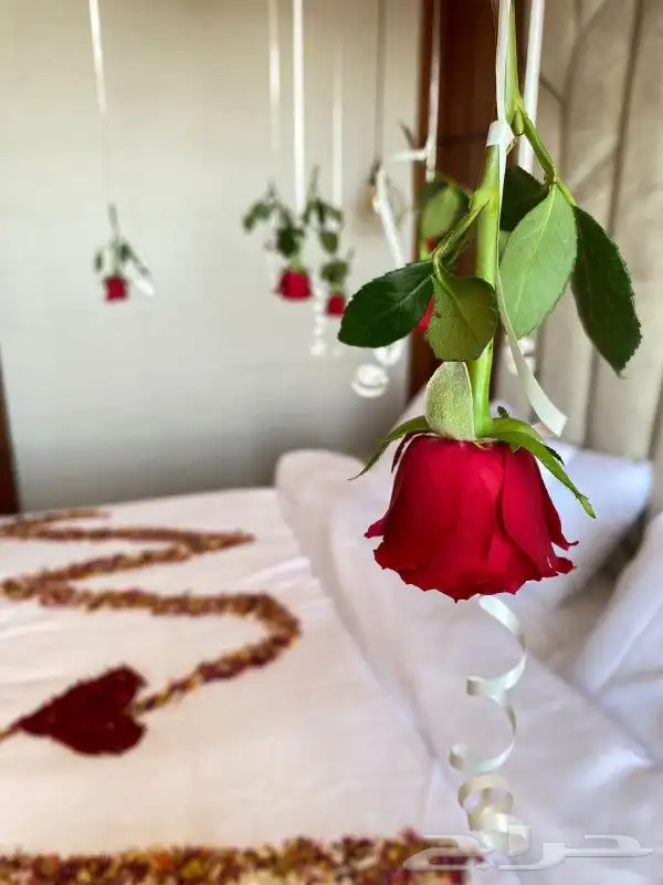 شراء هدايا و تنسيق غرف الليالي الحمراء 23