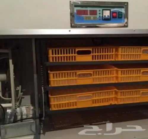 فقاسات جميع احجام مع هدايا وضمان وشحن مجاني 1