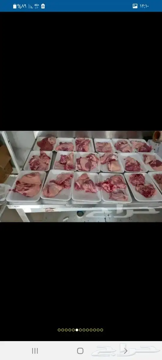 ذبايح بريه حري وسواكن 4