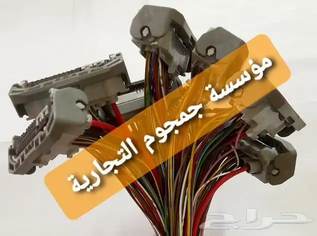 فيش شمعه 1