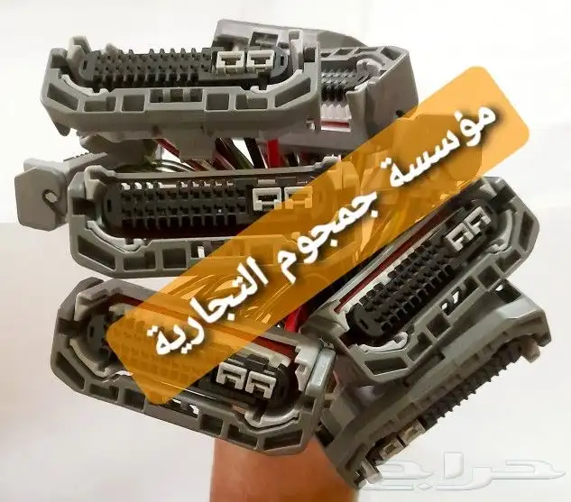 فيش شمعه 0
