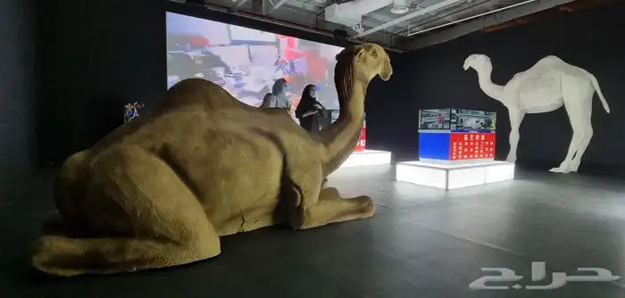 صورة تصوير افينتات معارض منتجات وغيرها 3