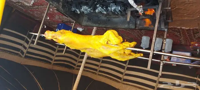 خروف سيخ على الجمر 12