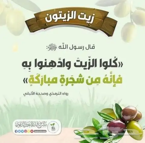 زيت زيتون فلسطيني بكر بعل لكل أرجاء السعودية 7