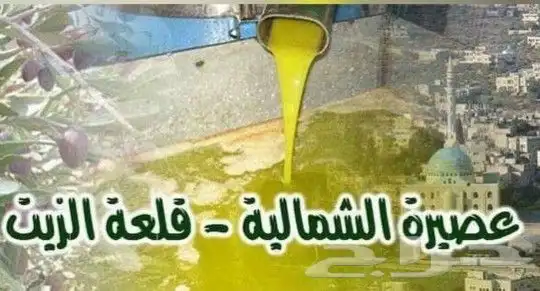 زيت زيتون فلسطيني بكر بعل لكل أرجاء السعودية 24