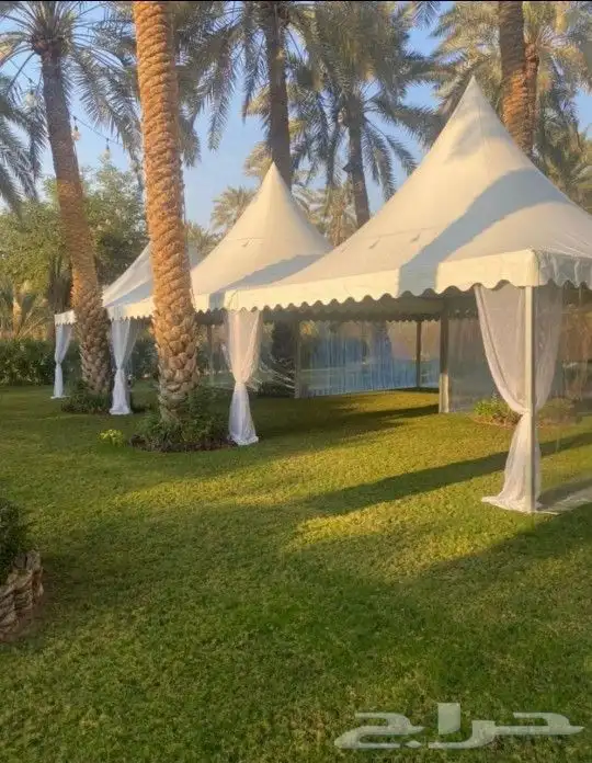 تاجير مظلات 1