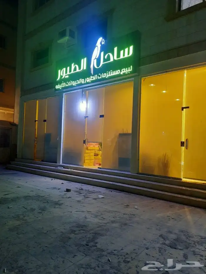 مشربيه طيور بادجي كروان روز كنيور كويكر كناري دره 6