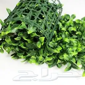 لاند سكيب للاسطح والجدران 28