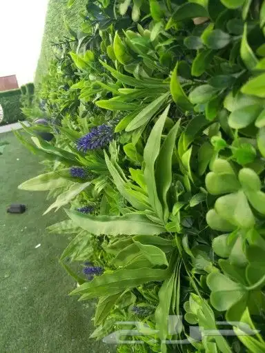 لاند سكيب للاسطح والجدران 24