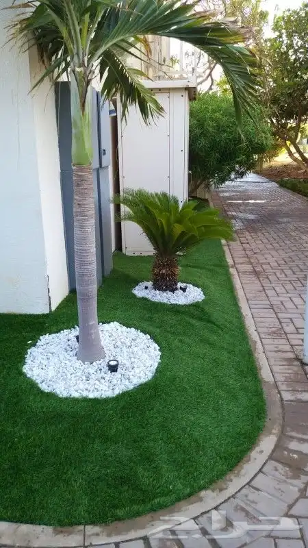 لاند سكيب للاسطح والجدران 29