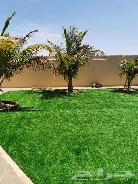 لاند سكيب للاسطح والجدران 31