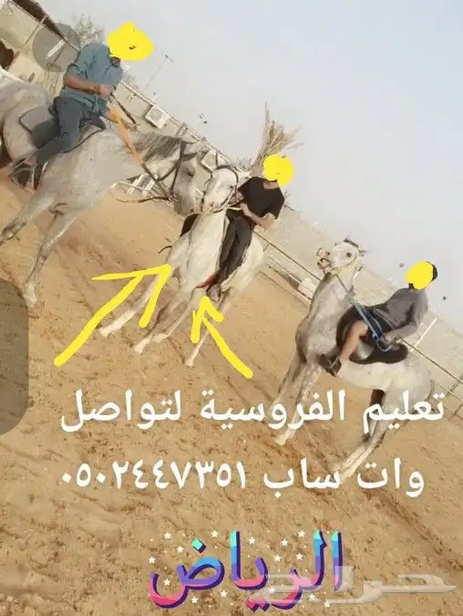 تدريب ركوب الخيل 8