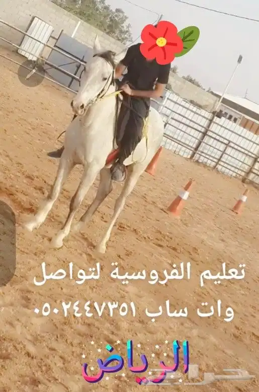 تدريب ركوب الخيل 7
