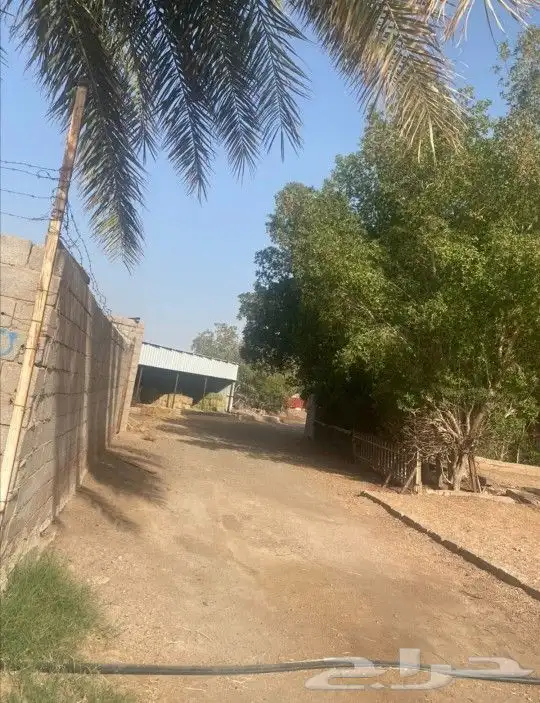 للبيع مزرعة قريبة من مسجد الميقات - المدينة 2