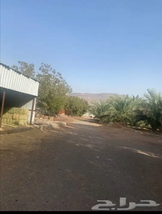 للبيع مزرعة قريبة من مسجد الميقات - المدينة 1