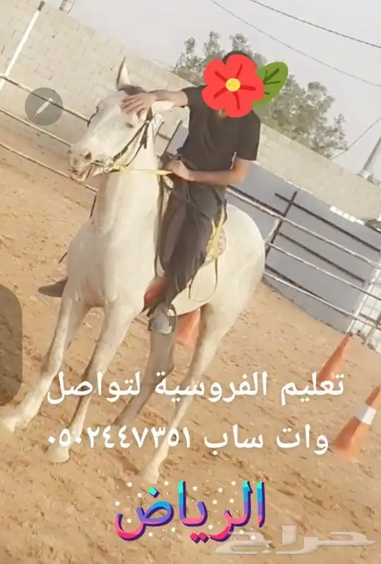 تدريب ركوب الخيل 6