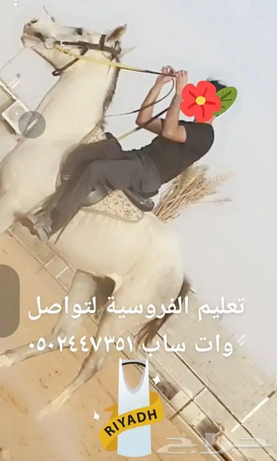 تدريب ركوب الخيل 5