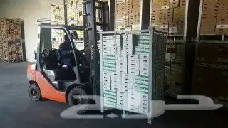 رافعة شوكية للايجار اليومي والاسبوعي والشهري 0