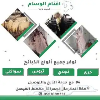 ذبايح حري نجدي نعيمي سواكني مع خدمة السلخ والتوصيل 0