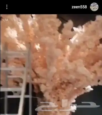 تنسيق شجر ورد الربيع 9