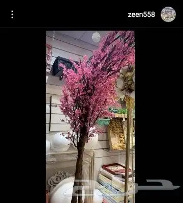 تنسيق شجر ورد الربيع 6
