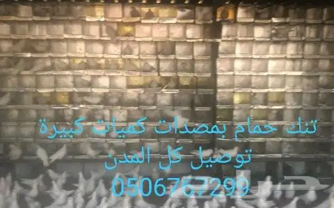 سطول تنك حمام كميات كبيرة توصيل كل المدن 12