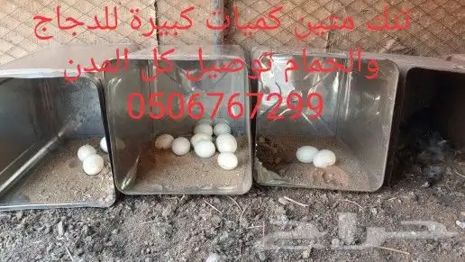 سطول تنك حمام كميات كبيرة توصيل كل المدن 8
