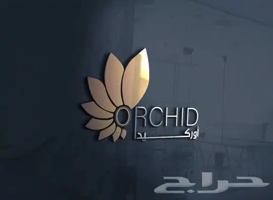 تصميم شعارات إحترافية ( logo - شعار علامة تجارية ) 0