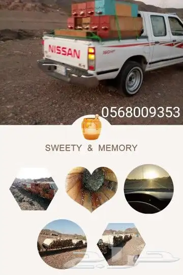خلايا نحل بلدي للبيع وعسل طبيعي (جملة وقطاعي) 12