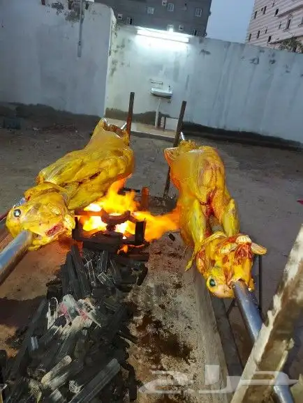 خروف سيخ على الجمر 10