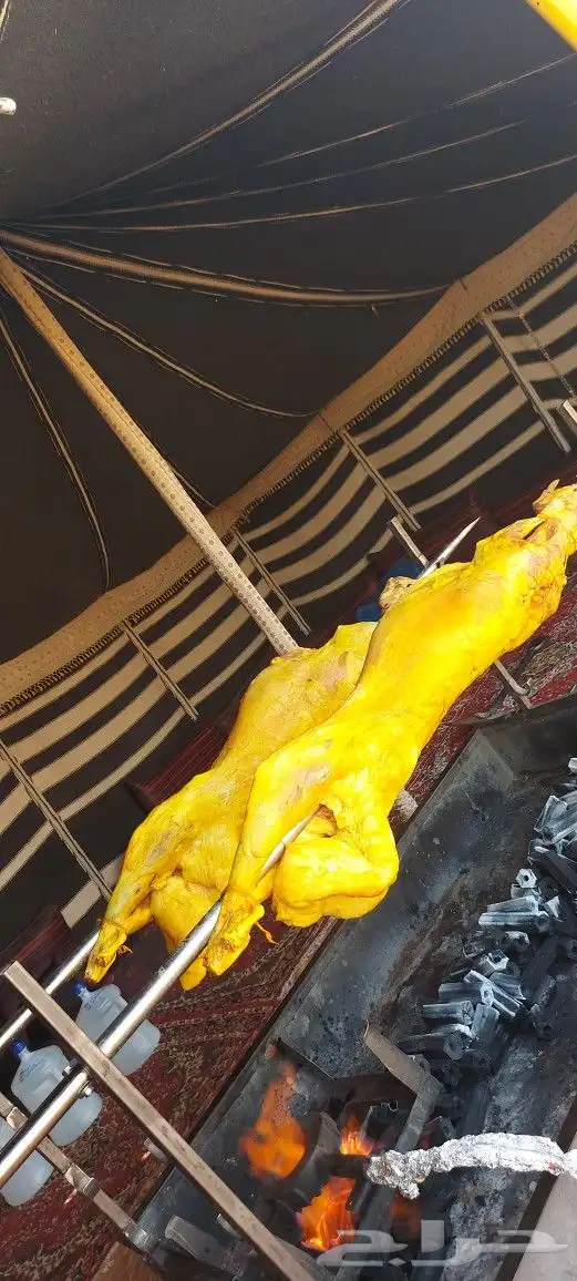 خروف سيخ على الجمر 6