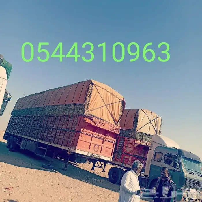 شراع تريله شراع قلاب شراع دينه اشرعة شاحنة 14