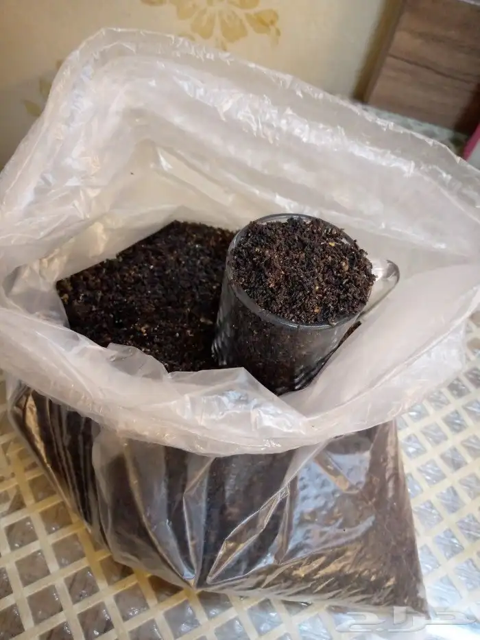 طرود نحل بلدي أعواد(بالمدينةالمنورة)يوجدتوصيل 6